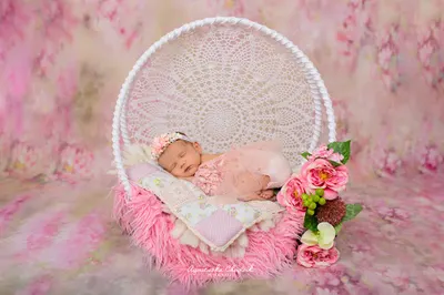 Fotografia A. Chudzik